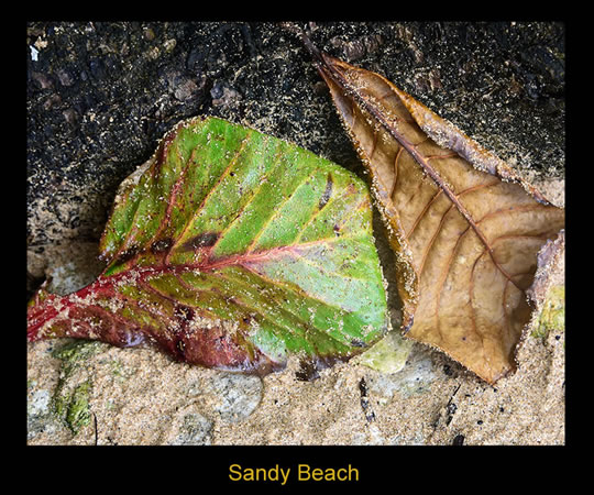 Sandy Beach Photograph - Island Art by Yotigo